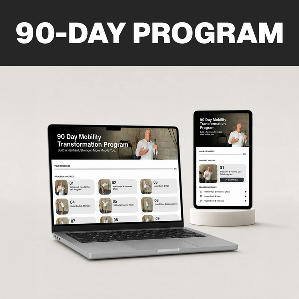 90-Day Mobility Transformation Program