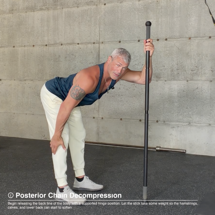 90-Day Mobility Transformation Program